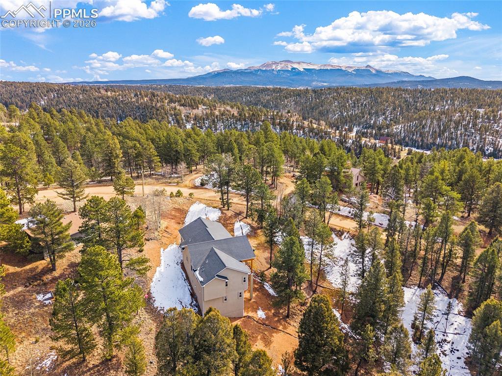 367 Cottonwood Lake Drive Divide CO 80814
