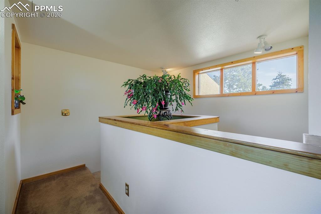 240 Crestwood Drive Woodland Park CO 80863