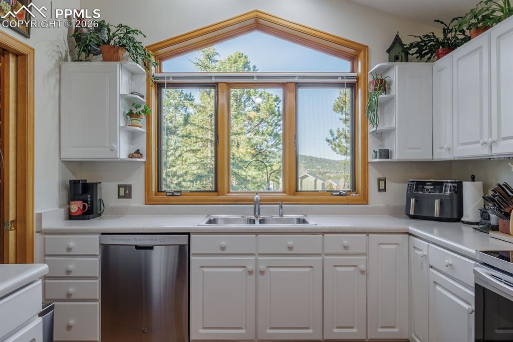 240 Crestwood Drive Woodland Park CO 80863
