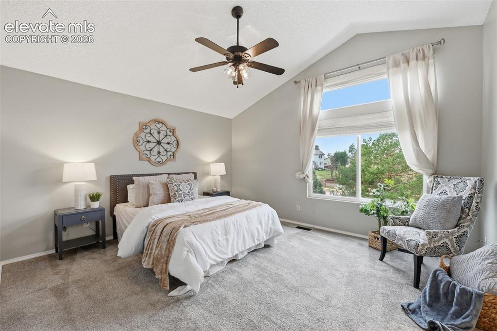 6742 Mcewan Street Colorado Springs CO 80922