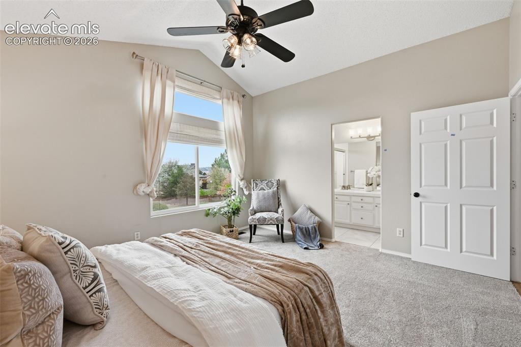6742 Mcewan Street Colorado Springs CO 80922