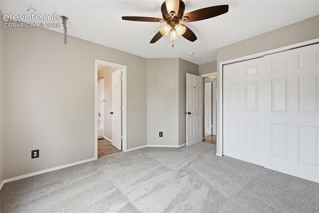 6742 Mcewan Street Colorado Springs CO 80922