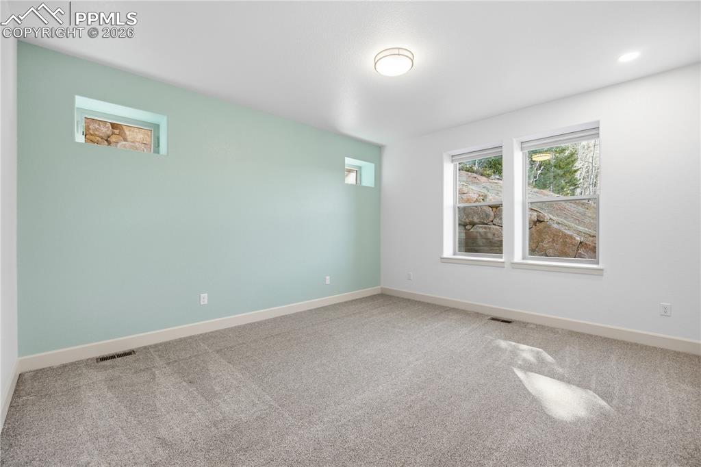 1015 Locklin Way Woodland Park CO 80863