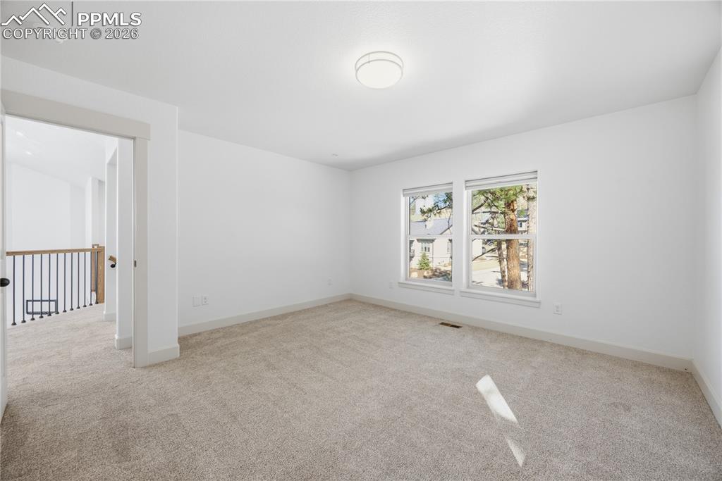 1015 Locklin Way Woodland Park CO 80863