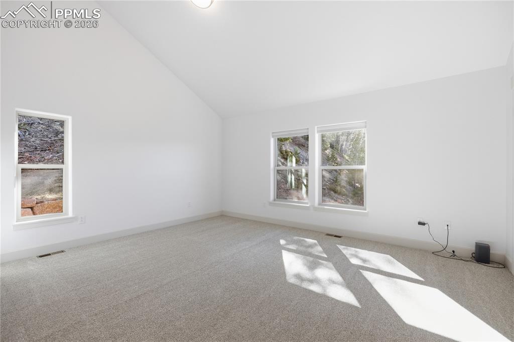 1015 Locklin Way Woodland Park CO 80863