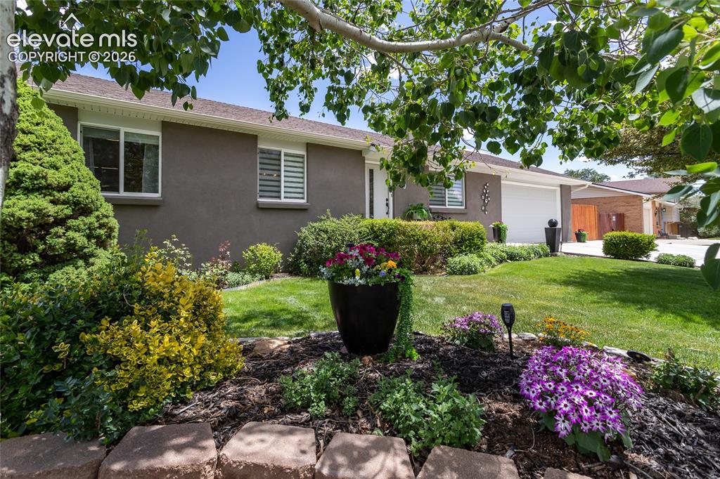 510 Catalina Drive Colorado Springs CO 80906