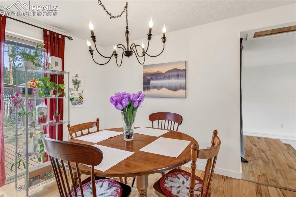 1217 Michael Lane Woodland Park CO 80863