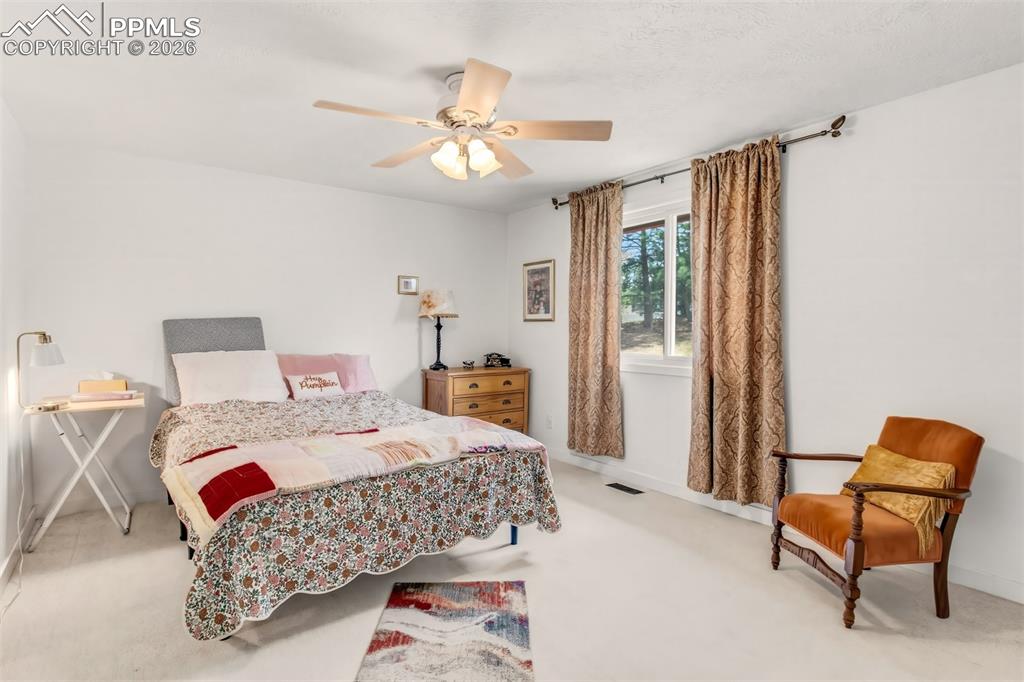 1217 Michael Lane Woodland Park CO 80863