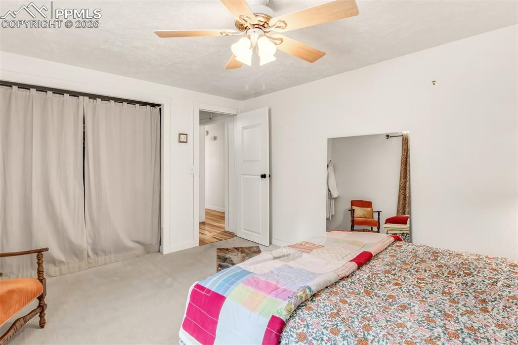 1217 Michael Lane Woodland Park CO 80863