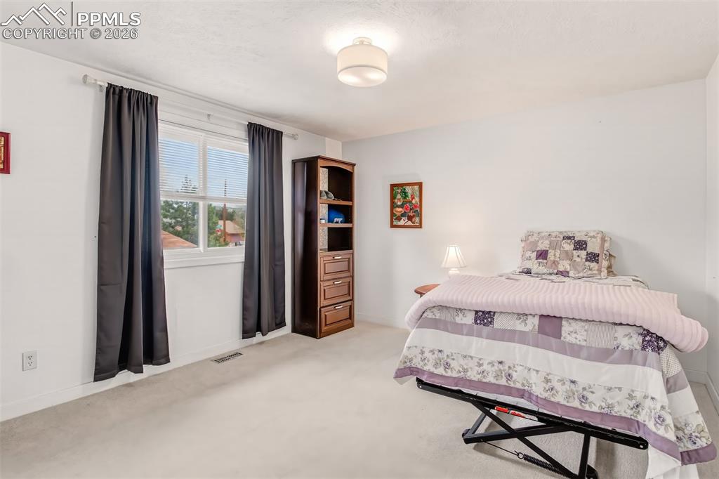 1217 Michael Lane Woodland Park CO 80863