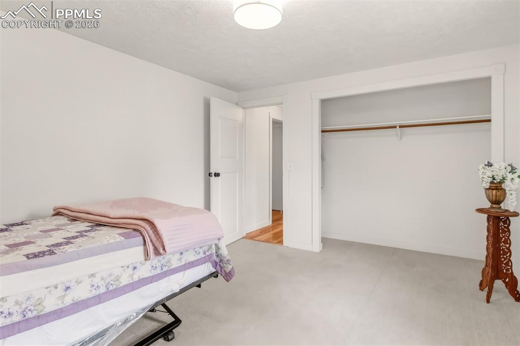 1217 Michael Lane Woodland Park CO 80863