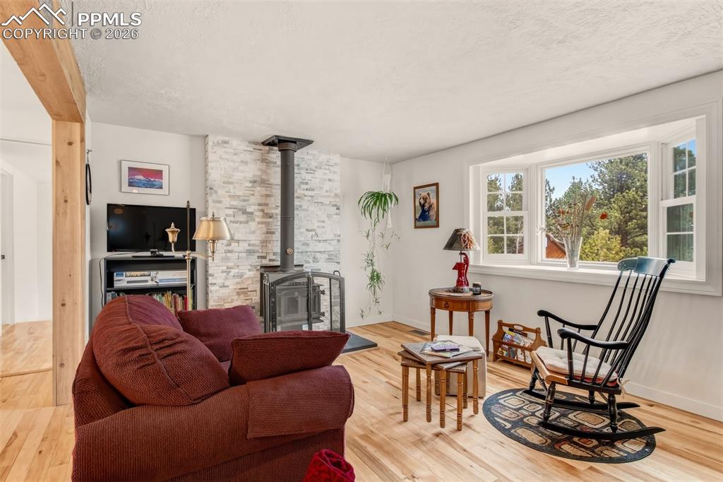 1217 Michael Lane Woodland Park CO 80863