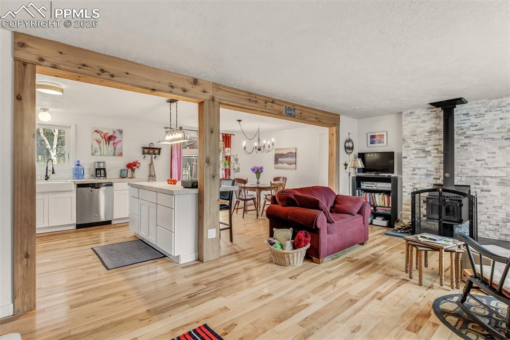 1217 Michael Lane Woodland Park CO 80863