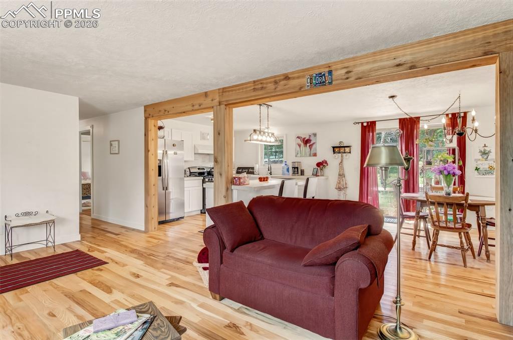 1217 Michael Lane Woodland Park CO 80863