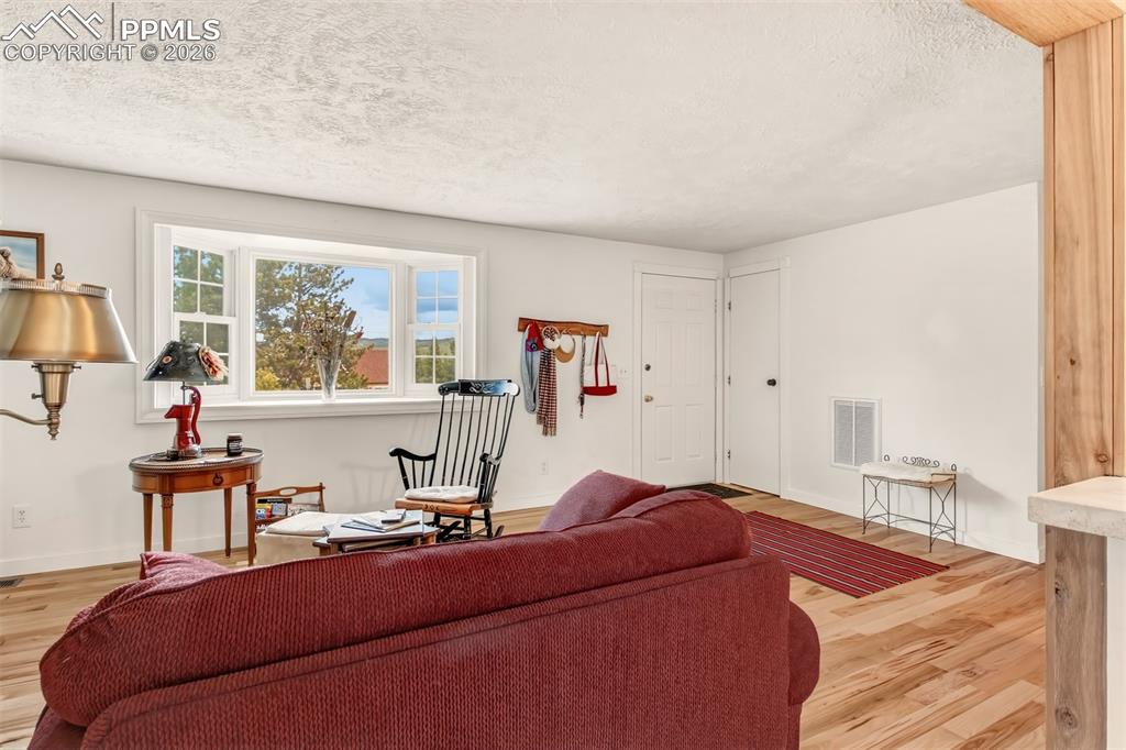 1217 Michael Lane Woodland Park CO 80863