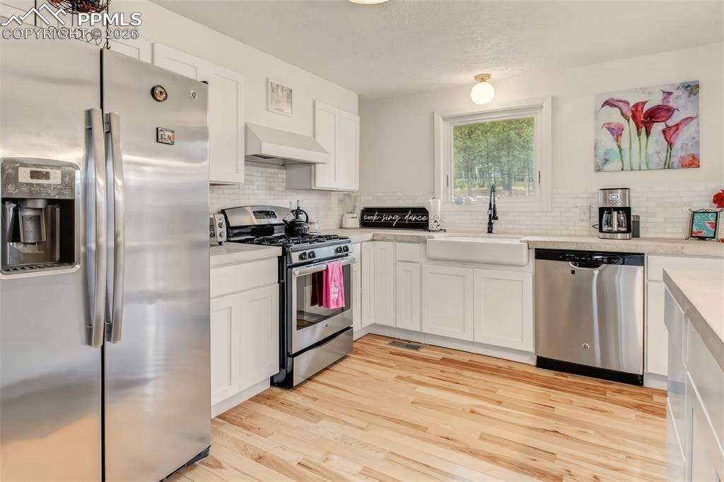 1217 Michael Lane Woodland Park CO 80863