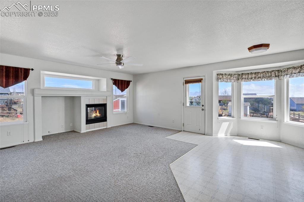 11256 Allendale Drive Peyton CO 80831