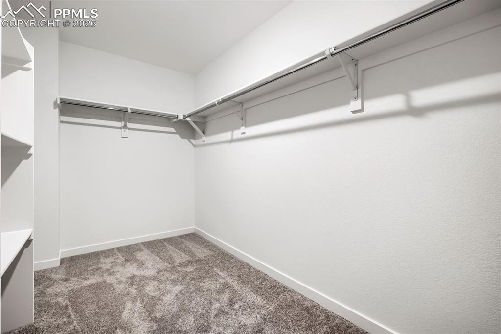 7767 Desert Wrangler Drive Colorado Springs CO 80908