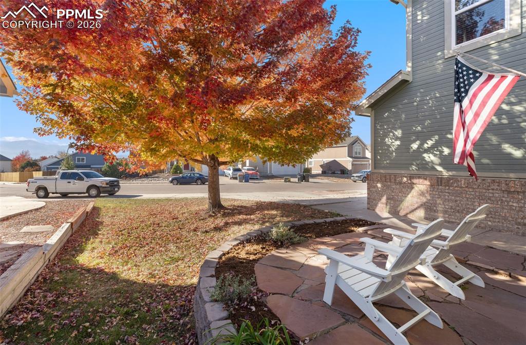 5041 Weaver Drive Colorado Springs CO 80922