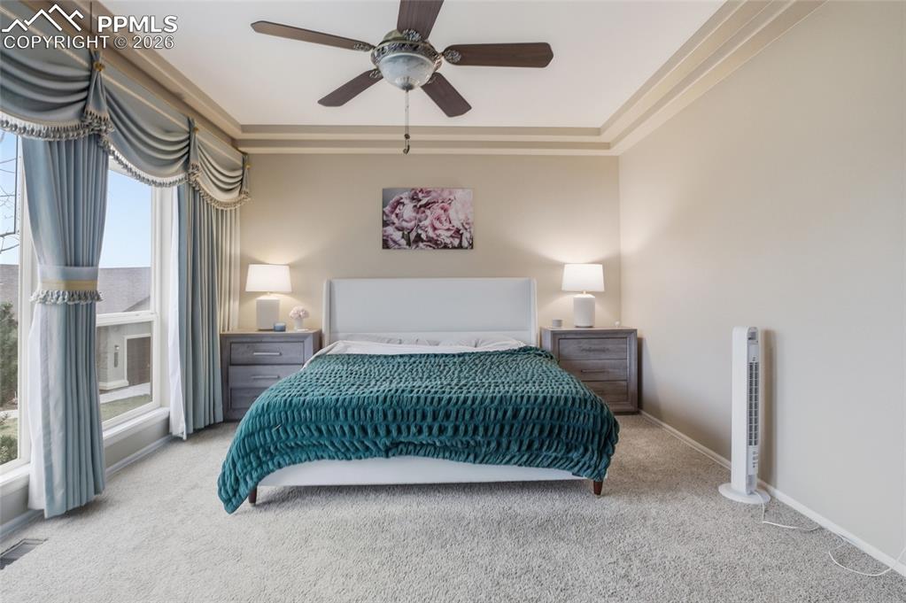 1615 Capadaro Court Monument CO 80132