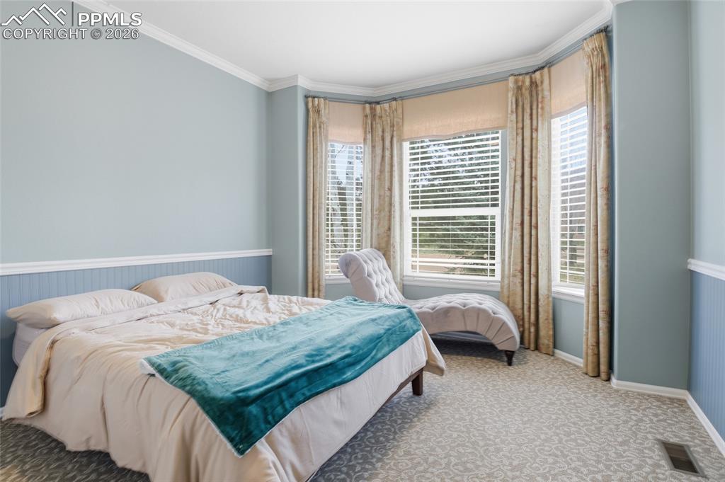 1615 Capadaro Court Monument CO 80132