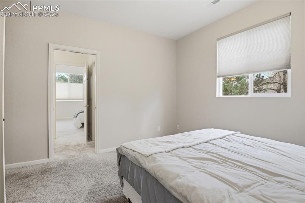 1615 Capadaro Court Monument CO 80132