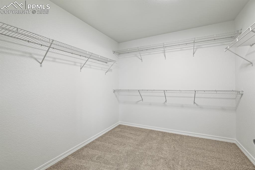 9134 Chieftan Drive Colorado Springs CO 80925