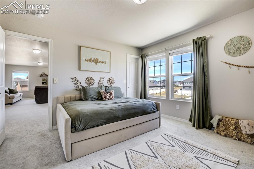 4427 Prairie Agate Drive Colorado Springs CO 80938