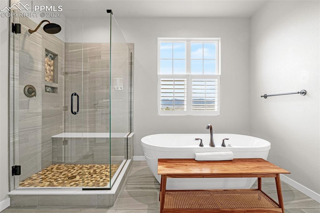 1598 Coronado Beach Drive Monument CO 80132