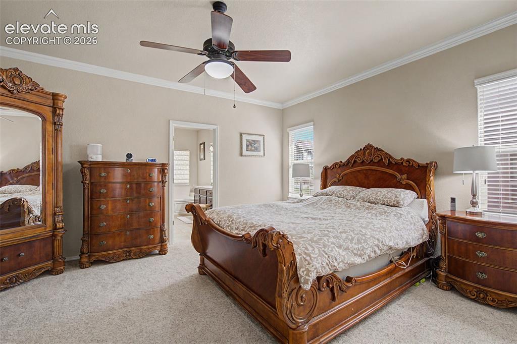 9012 Stony Creek Drive Colorado Springs CO 80924