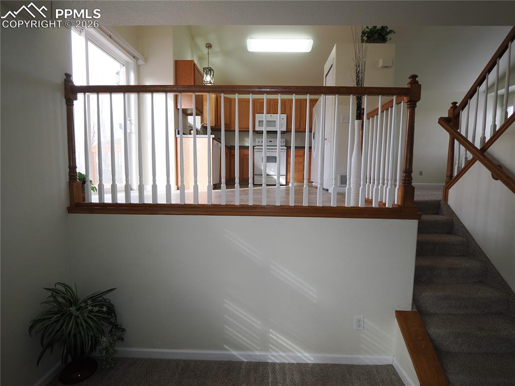 7338 Theresa Drive Colorado Springs CO 80925