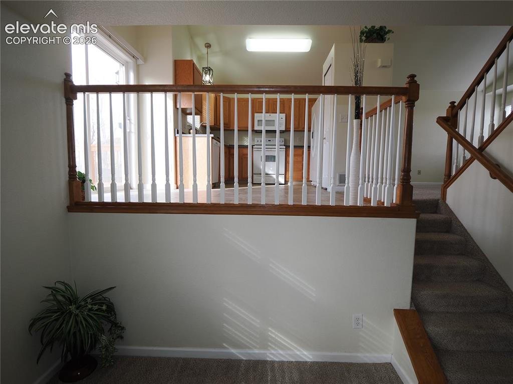 7338 Theresa Drive Colorado Springs CO 80925