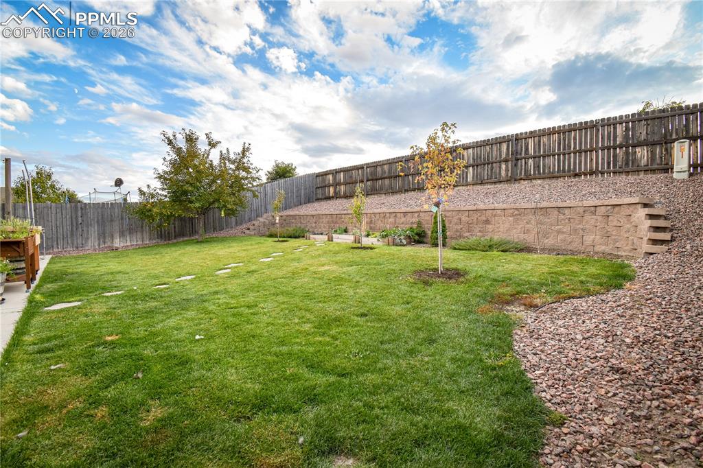 7246 Dutch Loop Colorado Springs CO 80925