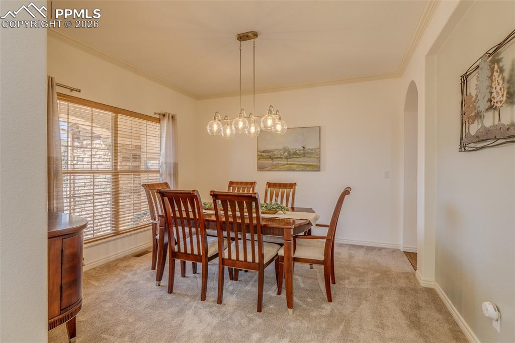 13957 Sierra Knolls Court Colorado Springs CO 80921