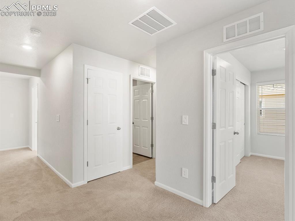11379 Pikeminnow Place Colorado Springs CO 80925