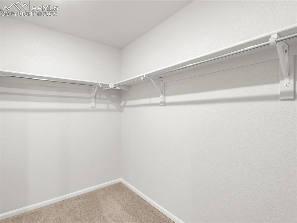 11379 Pikeminnow Place Colorado Springs CO 80925