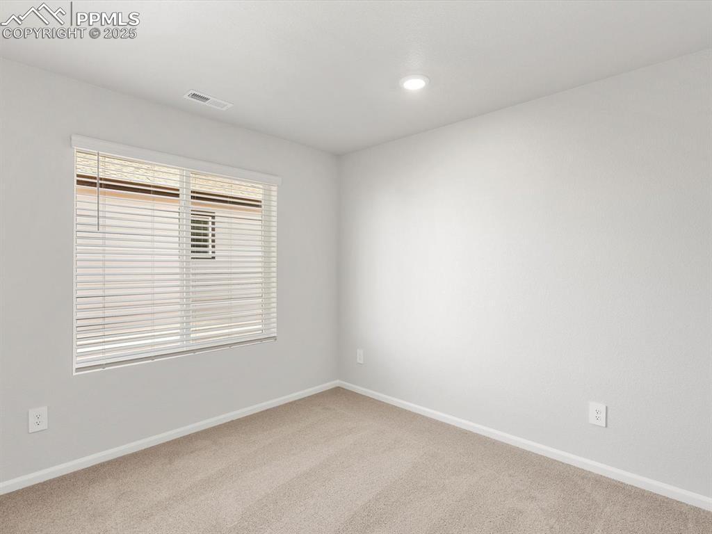 11379 Pikeminnow Place Colorado Springs CO 80925