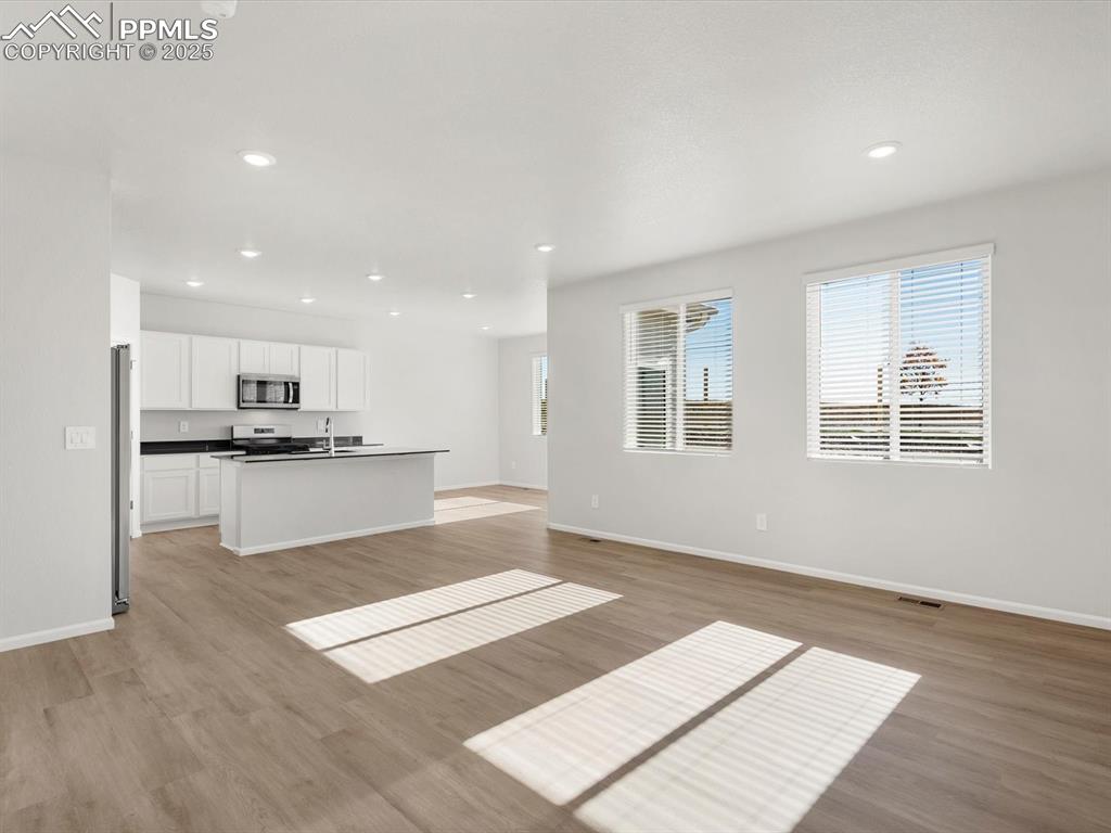 11379 Pikeminnow Place Colorado Springs CO 80925