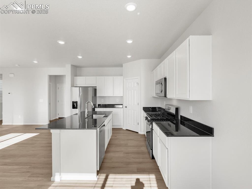 11379 Pikeminnow Place Colorado Springs CO 80925