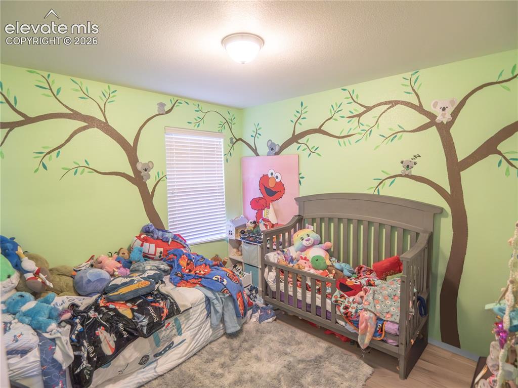 8806 Silver Glen Drive Fountain CO 80817