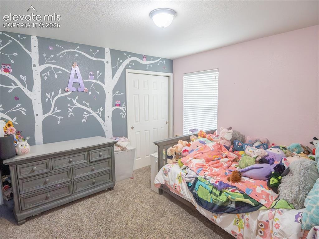 8806 Silver Glen Drive Fountain CO 80817