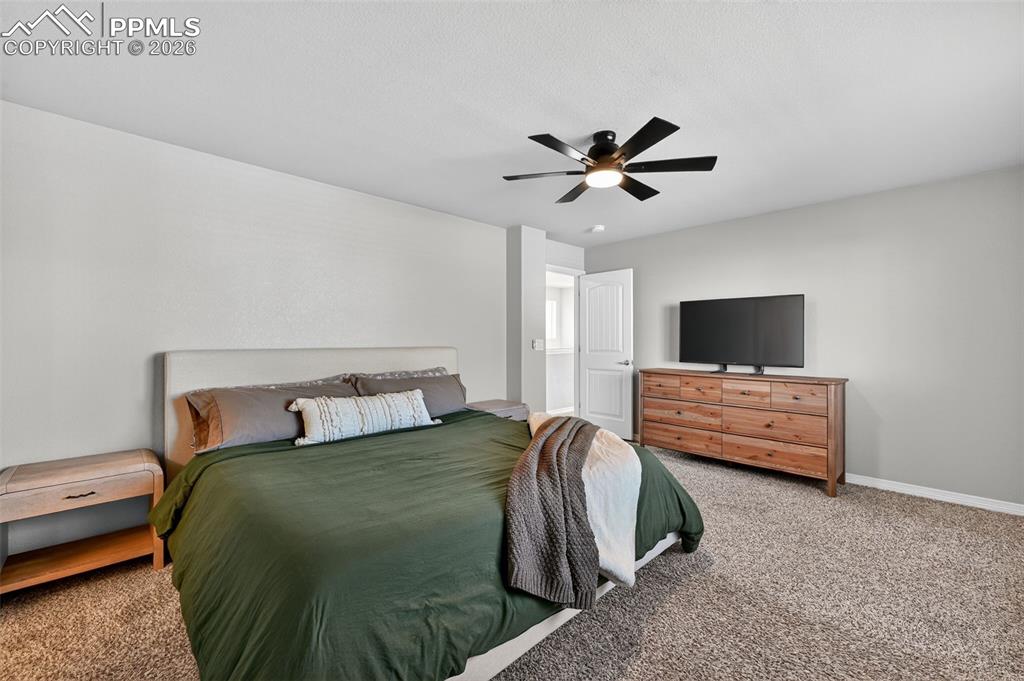 6802 Galpin Drive Colorado Springs CO 80925