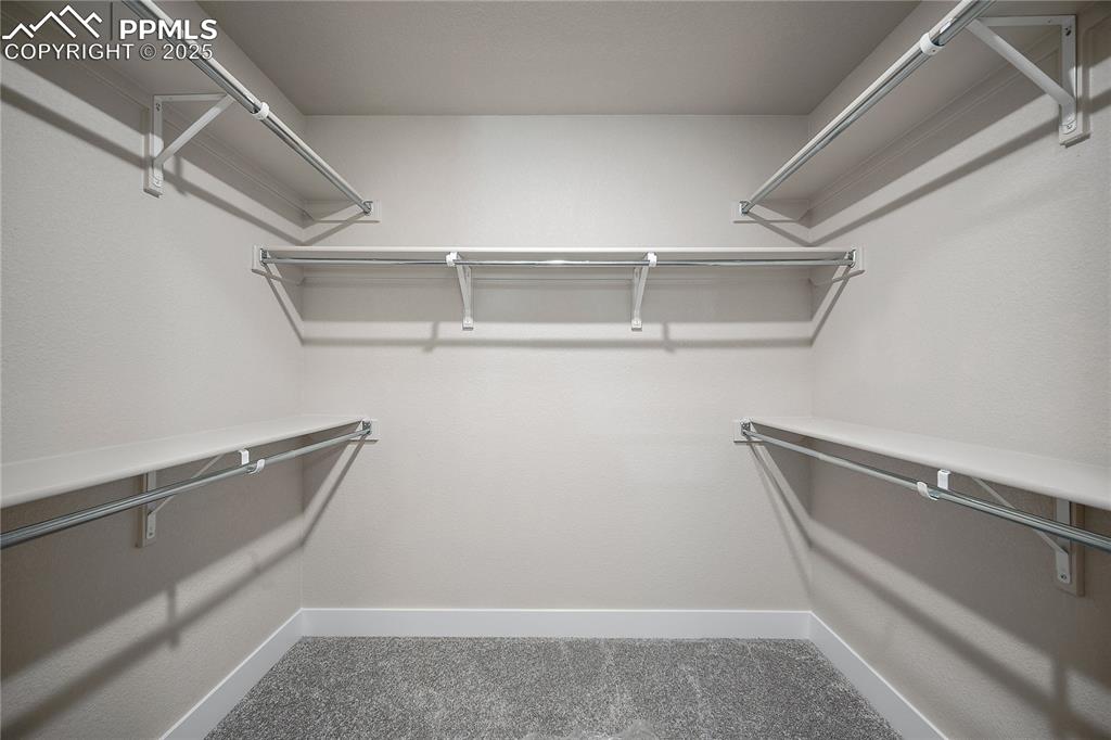 3071 Curly Grove Colorado Springs CO 80922