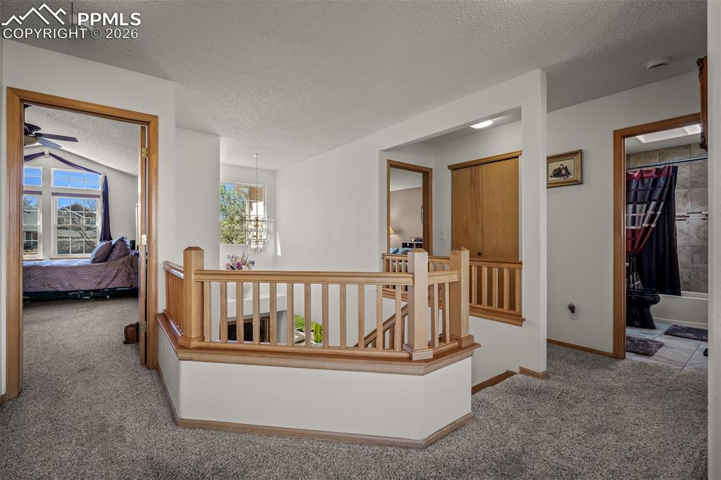 3670 Arborview Court Colorado Springs CO 80918