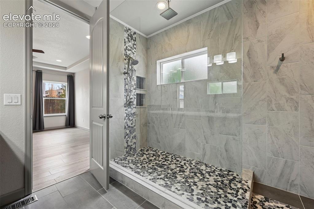7209 Peachleaf Drive Colorado Springs CO 80925