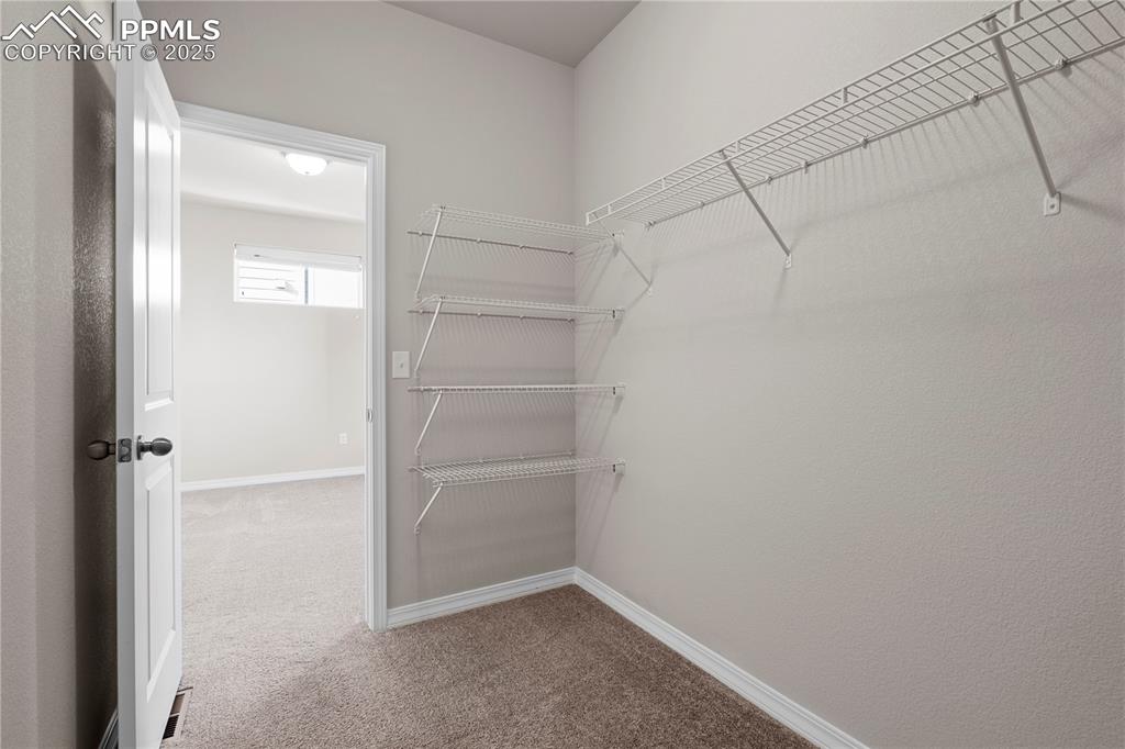 4447 Samaritan Loop Colorado Springs CO 80916