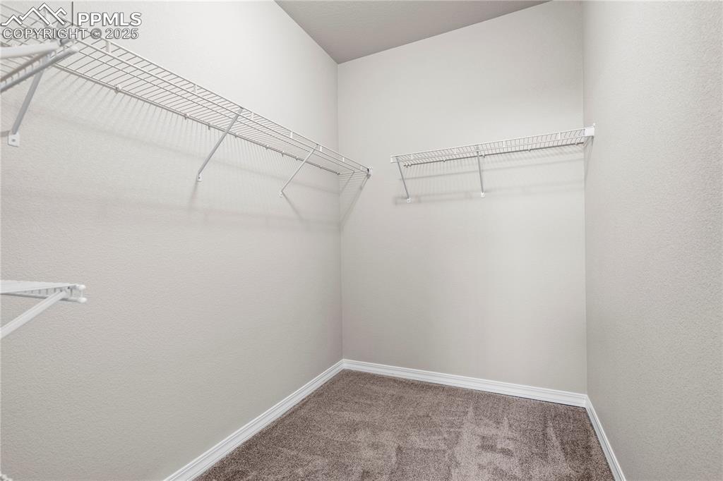 4447 Samaritan Loop Colorado Springs CO 80916