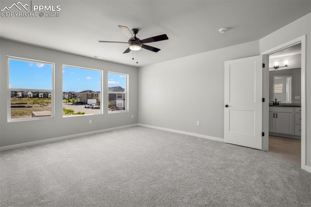 6373 Scrabble View Colorado Springs CO 80924