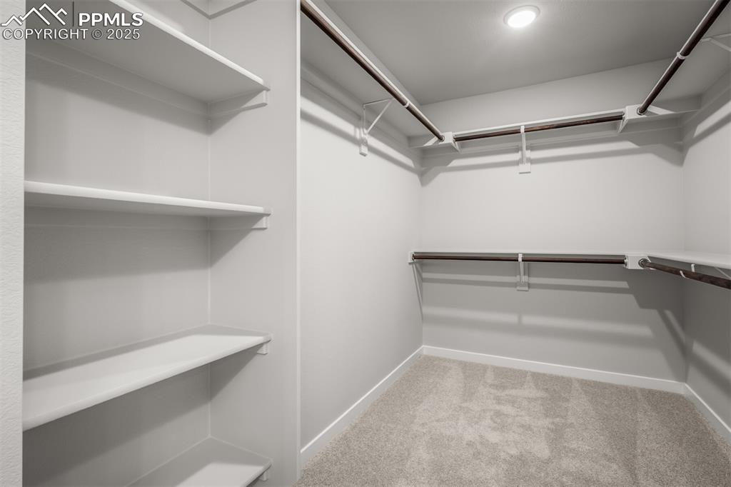 6373 Scrabble View Colorado Springs CO 80924