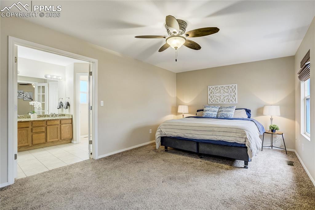1240 Whistler Hollow Drive Colorado Springs CO 80906